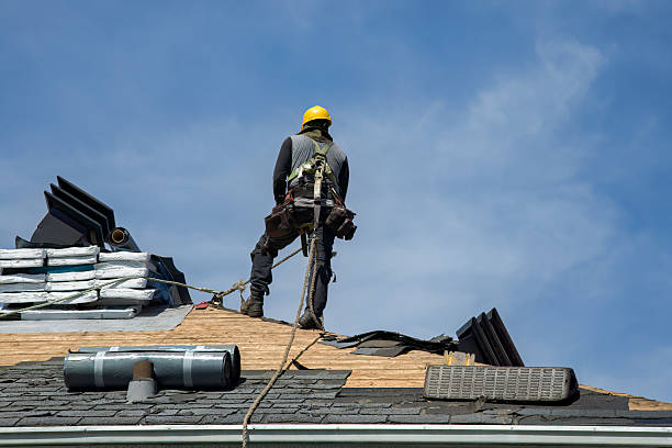 Professional Roofing technician working in Hampshire, IL